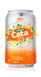 Carbonated Natural Orange Flavor Drink